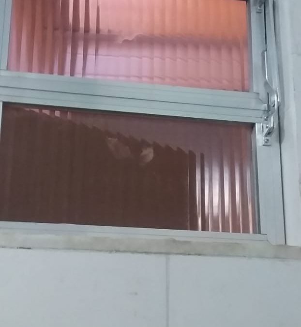 Soluções em Esquadria de Alumínio e Vidros na Ilha do Governador